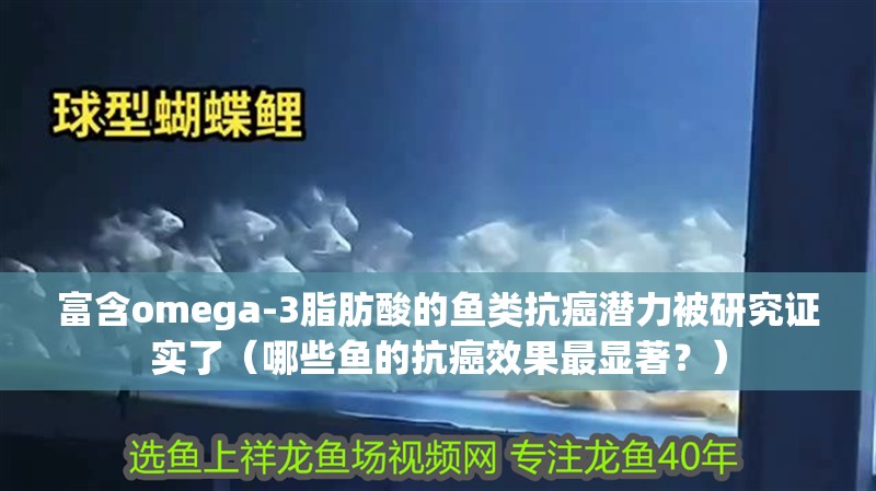 龍魚干蝦有營養嗎 富含omega-3脂肪酸的魚類抗癌潛力被研究證實了(哪些魚的抗癌效果最顯著?) 龍魚百科 富含omega-3脂肪酸的魚類抗癌潛力被研究證實了(哪些魚的抗癌效果最顯著?) 富含omega-3脂肪酸的魚類抗癌潛力被研究證實了(哪些魚的抗癌效果最顯著?) 龍魚百科