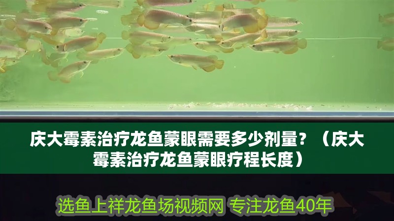 慶大霉素治療龍魚蒙眼需要多少劑量？（慶大霉素治療龍魚蒙眼療程長度）