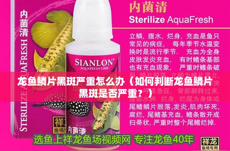 龍魚(yú)鱗片黑斑嚴(yán)重怎么辦（如何判斷龍魚(yú)鱗片黑斑是否嚴(yán)重？）