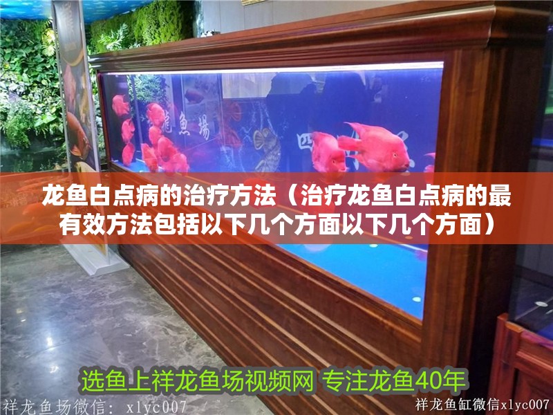 龍魚白點病的治療方法（治療龍魚白點病的最有效方法包括以下幾個方面以下幾個方面）