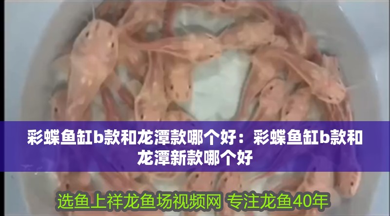 彩蝶魚缸b款和龍?zhí)犊钅膫€好：彩蝶魚缸b款和龍?zhí)缎驴钅膫€好