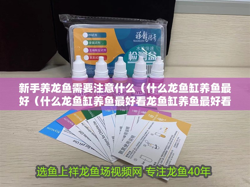 新手養龍魚需要注意什么（什么龍魚缸養魚最好（什么龍魚缸養魚最好看龍魚缸養魚最好看））