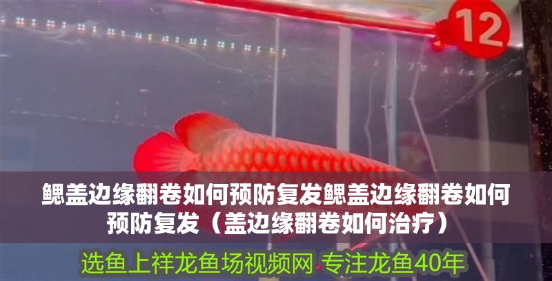 鰓蓋邊緣翻卷如何預防復發鰓蓋邊緣翻卷如何預防復發（蓋邊緣翻卷如何治療）