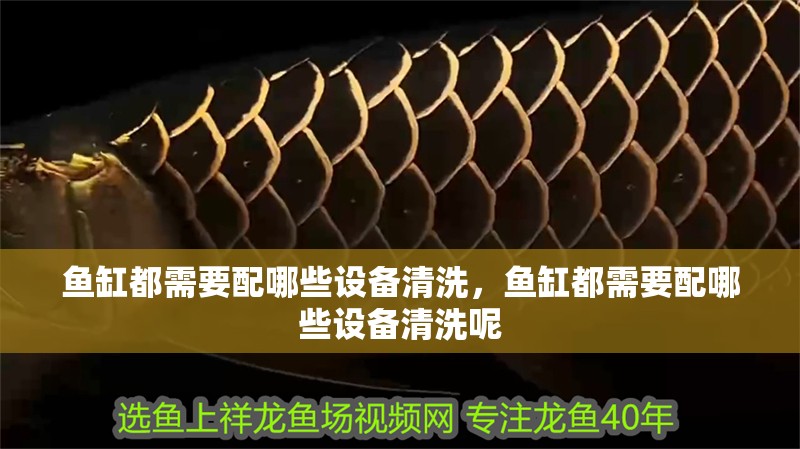 魚缸都需要配哪些設備清洗，魚缸都需要配哪些設備清洗呢