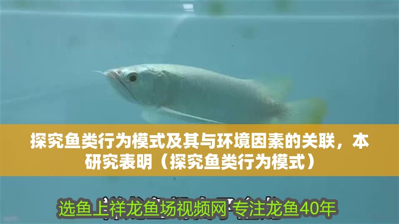 探究魚類行為模式及其與環境因素的關聯，本研究表明（探究魚類行為模式）