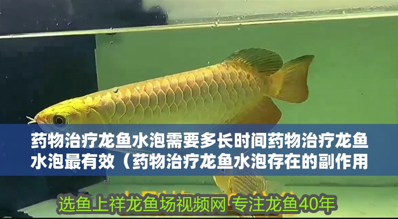 藥物治療龍魚水泡需要多長時間藥物治療龍魚水泡最有效（藥物治療龍魚水泡存在的副作用：藥物治療龍魚水泡需要多長時間）
