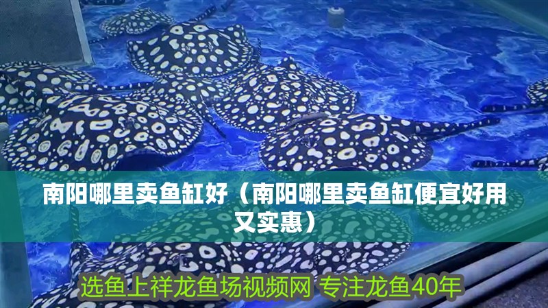 南陽哪里賣魚缸好（南陽哪里賣魚缸便宜好用又實惠）