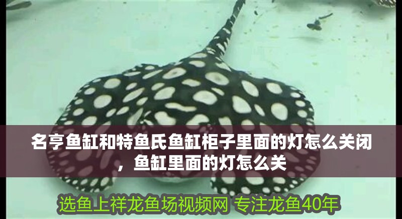 名亨魚缸和特魚氏魚缸柜子里面的燈怎么關閉，魚缸里面的燈怎么關
