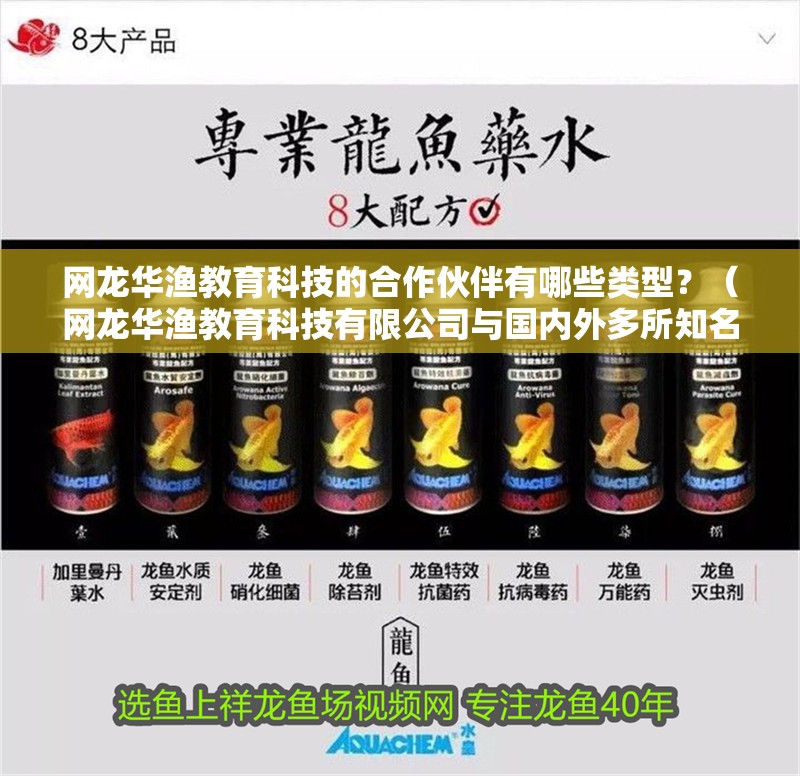 網龍華漁教育科技的合作伙伴有哪些類型？（網龍華漁教育科技有限公司與國內外多所知名高校和教育機構建立合作關系）