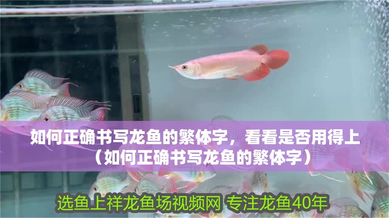 如何正確書寫龍魚的繁體字，看看是否用得上（如何正確書寫龍魚的繁體字）