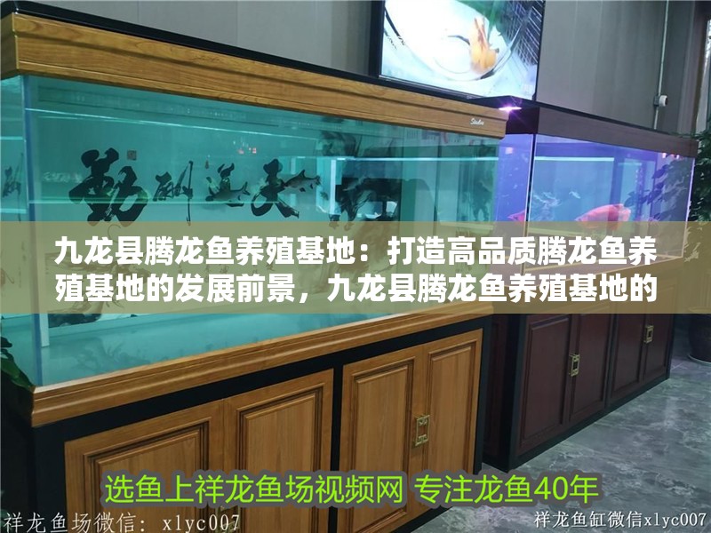 九龍縣騰龍魚(yú)養(yǎng)殖基地：打造高品質(zhì)騰龍魚(yú)養(yǎng)殖基地的發(fā)展前景，九龍縣騰龍魚(yú)養(yǎng)殖基地的優(yōu)勢(shì)