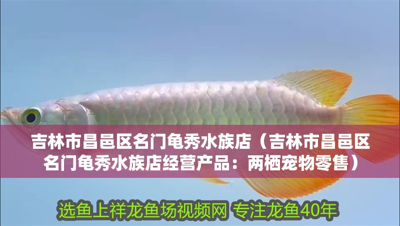 吉林市昌邑區(qū)名門龜秀水族店（吉林市昌邑區(qū)名門龜秀水族店經(jīng)營產(chǎn)品：兩棲寵物零售）