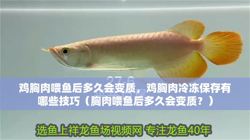 雞胸肉喂魚后多久會(huì)變質(zhì)，雞胸肉冷凍保存有哪些技巧（胸肉喂魚后多久會(huì)變質(zhì)？）