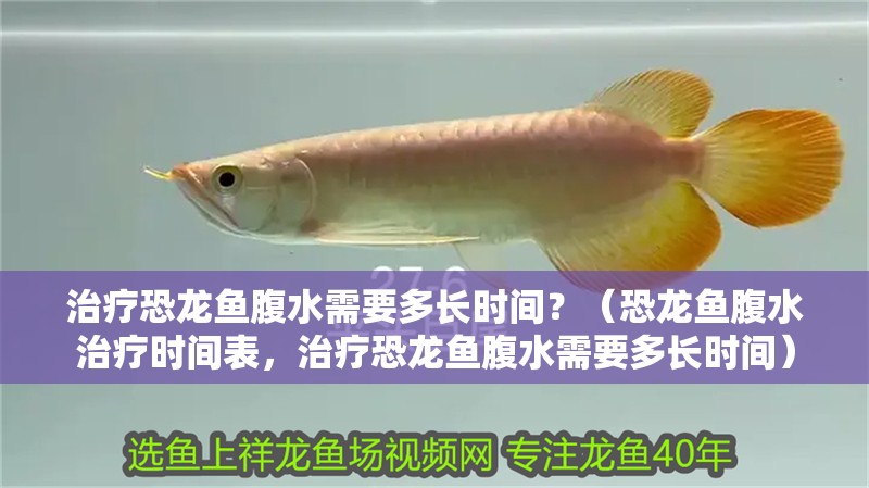 治療恐龍魚腹水需要多長時間？（恐龍魚腹水治療時間表，治療恐龍魚腹水需要多長時間）