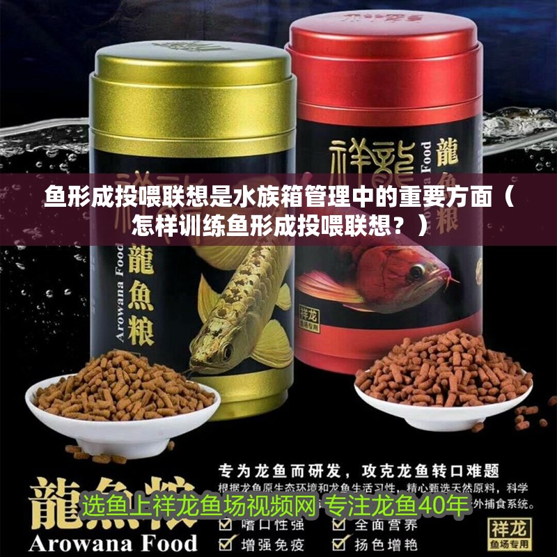 魚形成投喂聯(lián)想是水族箱管理中的重要方面（怎樣訓(xùn)練魚形成投喂聯(lián)想？）