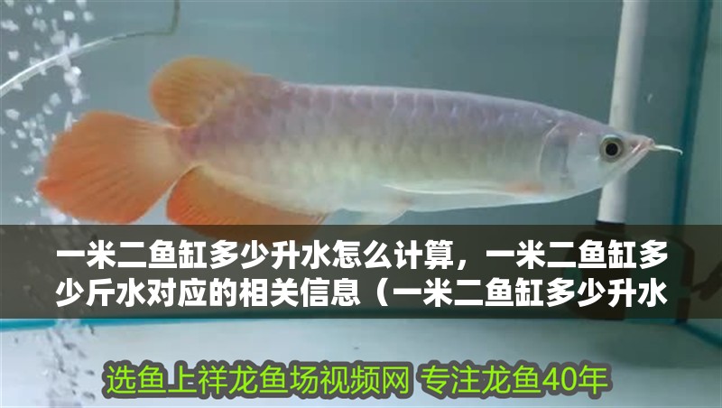 一米二魚缸多少升水怎么計(jì)算，一米二魚缸多少斤水對(duì)應(yīng)的相關(guān)信息（一米二魚缸多少升水怎么計(jì)算）