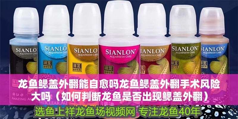 龍魚(yú)鰓蓋外翻能自愈嗎龍魚(yú)鰓蓋外翻手術(shù)風(fēng)險(xiǎn)大嗎（如何判斷龍魚(yú)是否出現(xiàn)鰓蓋外翻）