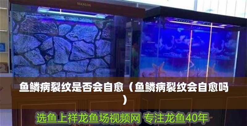 魚鱗病裂紋是否會自愈（魚鱗病裂紋會自愈嗎）
