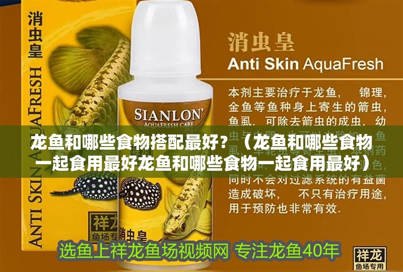 龍魚和哪些食物搭配最好？（龍魚和哪些食物一起食用最好龍魚和哪些食物一起食用最好）