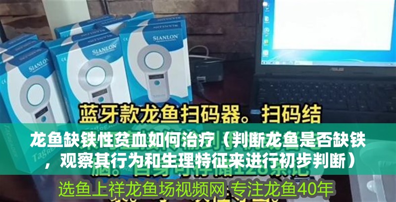 龍魚(yú)缺鐵性貧血如何治療（判斷龍魚(yú)是否缺鐵，觀察其行為和生理特征來(lái)進(jìn)行初步判斷）