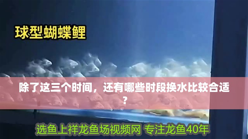 除了這三個(gè)時(shí)間，還有哪些時(shí)段換水比較合適？