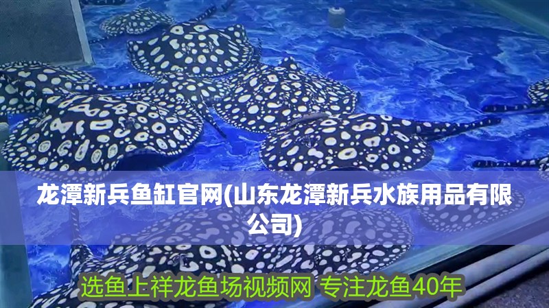 龍潭新兵魚缸官網(山東龍潭新兵水族用品有限公司)