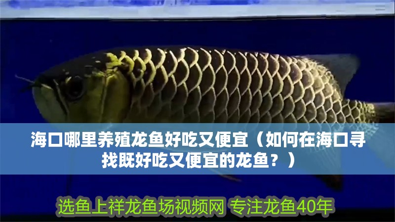 ?？谀睦镳B殖龍魚好吃又便宜（如何在?？趯ふ壹群贸杂直阋说凝堲~？）