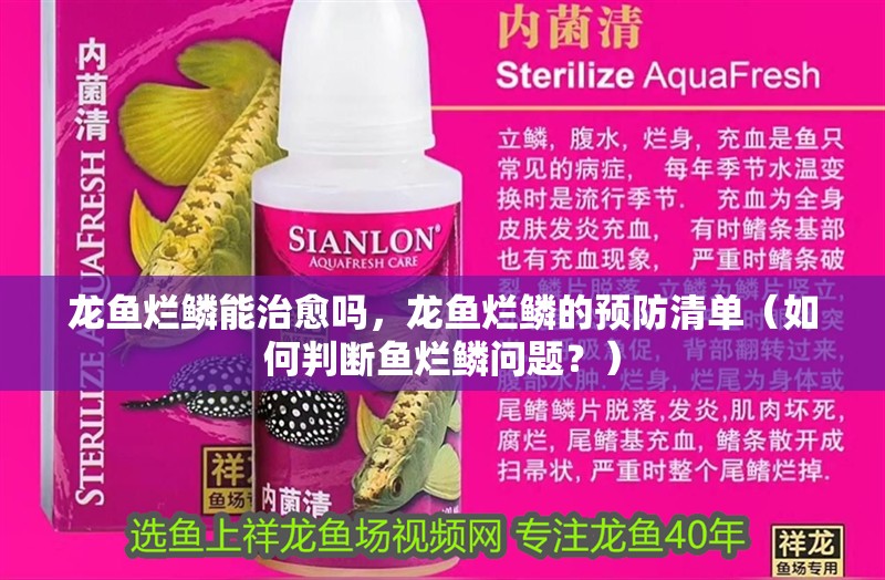 龍魚爛鱗能治愈嗎，龍魚爛鱗的預防清單（如何判斷魚爛鱗問題？） 龍魚爛鱗能治愈嗎，龍魚爛鱗的預防清單（如何判斷魚爛鱗問題？） 龍魚百科