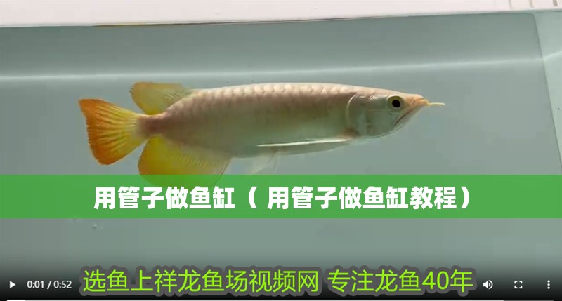 用管子做魚缸（ 用管子做魚缸教程）