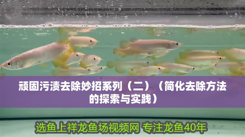 頑固污漬去除妙招系列（二）（簡化去除方法的探索與實踐）