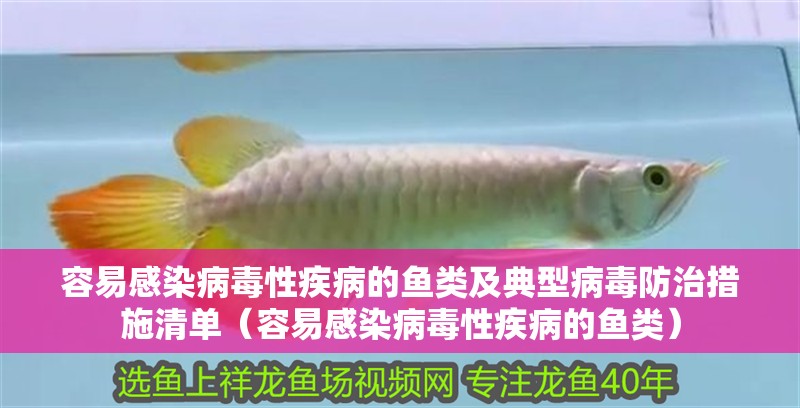 容易感染病毒性疾病的魚類及典型病毒防治措施清單（容易感染病毒性疾病的魚類）