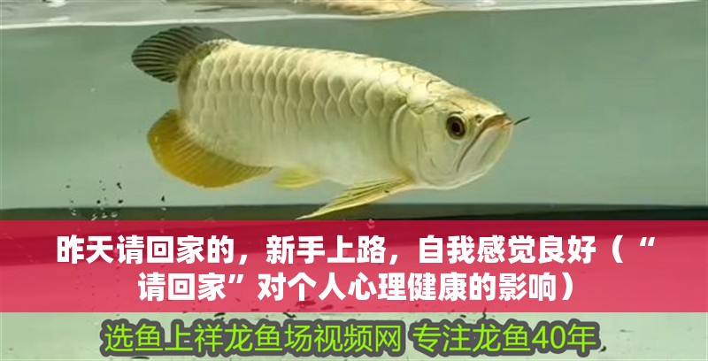 昨天請回家的，新手上路，自我感覺良好（“請回家”對個人心理健康的影響）