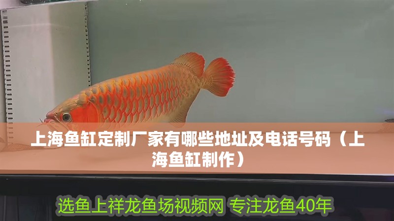 上海魚缸定制廠家有哪些地址及電話號碼（上海魚缸制作）