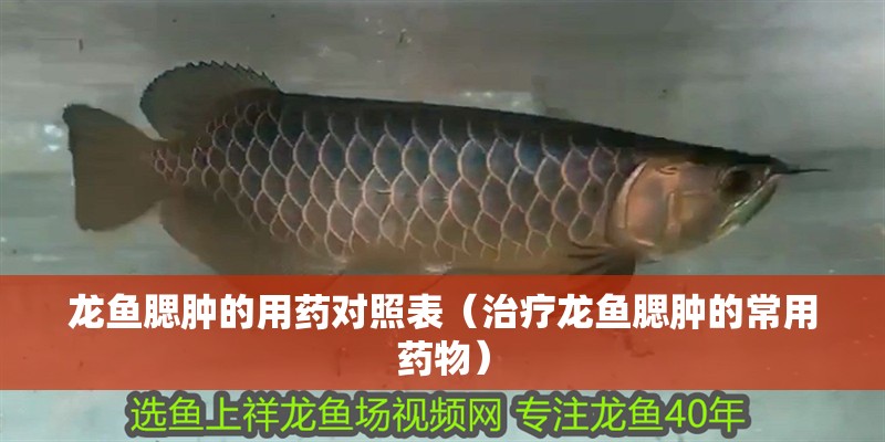 龍魚腮腫的用藥對照表（治療龍魚腮腫的常用藥物）