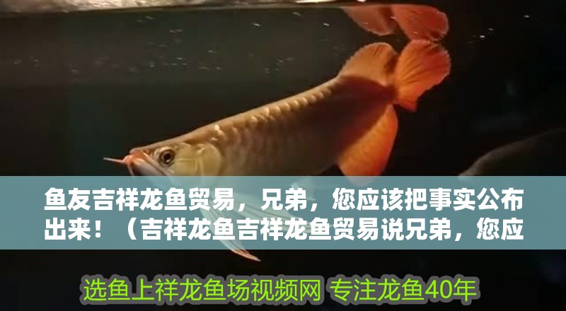 魚友吉祥龍魚貿易，兄弟，您應該把事實公布出來?。辇堲~吉祥龍魚貿易說兄弟，您應該把事實公布出來）