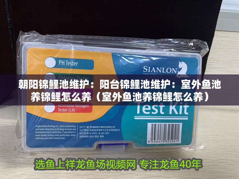 朝陽錦鯉池維護：陽臺錦鯉池維護：室外魚池養錦鯉怎么養（室外魚池養錦鯉怎么養）