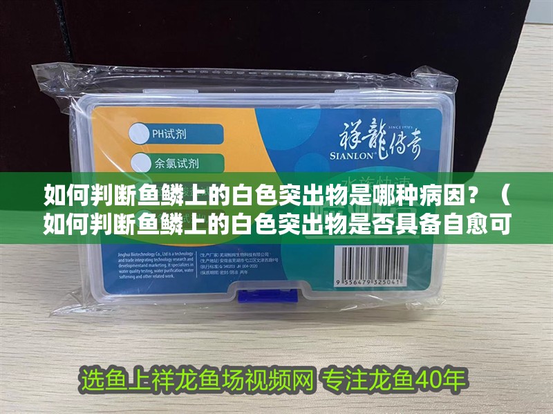 如何判斷魚鱗上的白色突出物是哪種病因？（如何判斷魚鱗上的白色突出物是否具備自愈可能）
