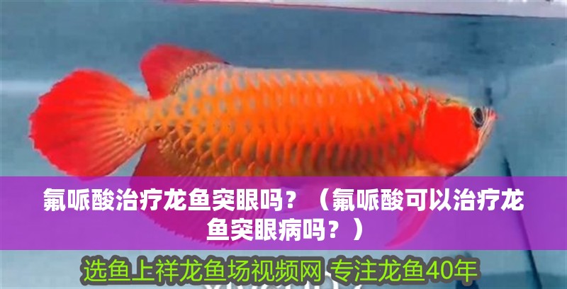 氟哌酸治療龍魚突眼嗎？（氟哌酸可以治療龍魚突眼病嗎？）