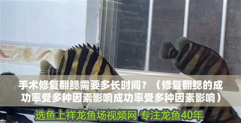 手術修復翻鰓需要多長時間？（修復翻鰓的成功率受多種因素影響成功率受多種因素影響）