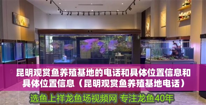 昆明觀賞魚養(yǎng)殖基地的電話和具體位置信息和具體位置信息（昆明觀賞魚養(yǎng)殖基地電話）