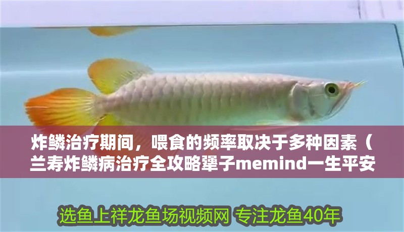 炸鱗治療期間，喂食的頻率取決于多種因素（蘭壽炸鱗病治療全攻略犟子memind一生平安）