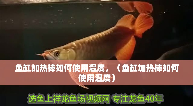 魚缸加熱棒如何使用溫度，（魚缸加熱棒如何使用溫度）