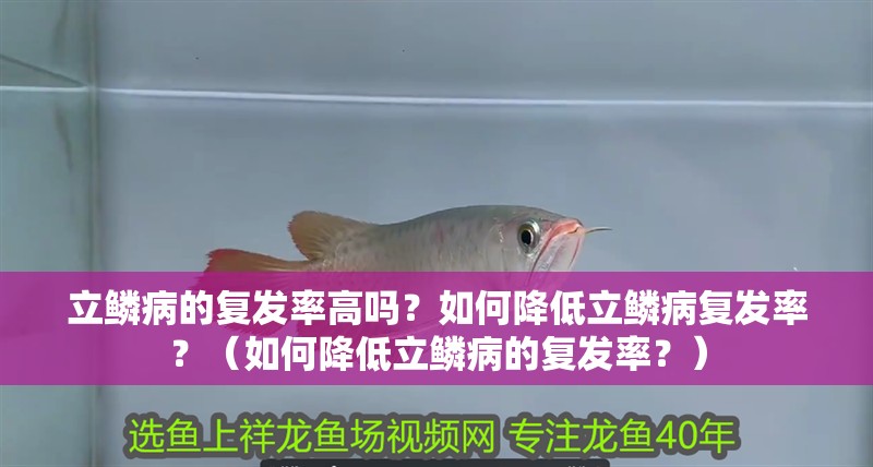 立鱗病的復(fù)發(fā)率高嗎？如何降低立鱗病復(fù)發(fā)率？（如何降低立鱗病的復(fù)發(fā)率？）