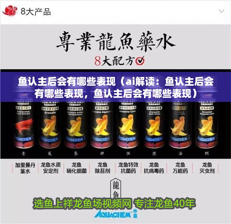 魚認主后會有哪些表現（ai解讀：魚認主后會有哪些表現，魚認主后會有哪些表現）