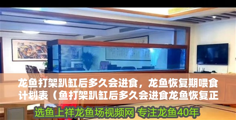 龍魚干蝦有營養(yǎng)嗎 龍魚打架趴缸后多久會(huì)進(jìn)食,龍魚恢復(fù)期喂食計(jì)劃表(魚打架趴缸后多久會(huì)進(jìn)食龍魚恢復(fù)正常飲食習(xí)慣) 龍魚百科 龍魚打架趴缸后多久會(huì)進(jìn)食,龍魚恢復(fù)期喂食計(jì)劃表(魚打架趴缸后多久會(huì)進(jìn)食龍魚恢復(fù)正常飲食習(xí)慣) 龍魚打架趴缸后多久會(huì)進(jìn)食,龍魚恢復(fù)期喂食計(jì)劃表(魚打架趴缸后多久會(huì)進(jìn)食龍魚恢復(fù)正常飲食習(xí)慣) 龍魚百科