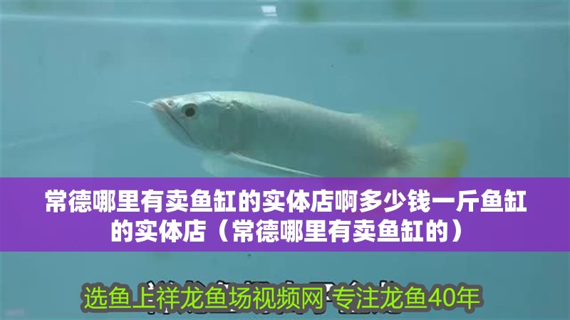 常德哪里有賣魚缸的實(shí)體店啊多少錢一斤魚缸的實(shí)體店（常德哪里有賣魚缸的）