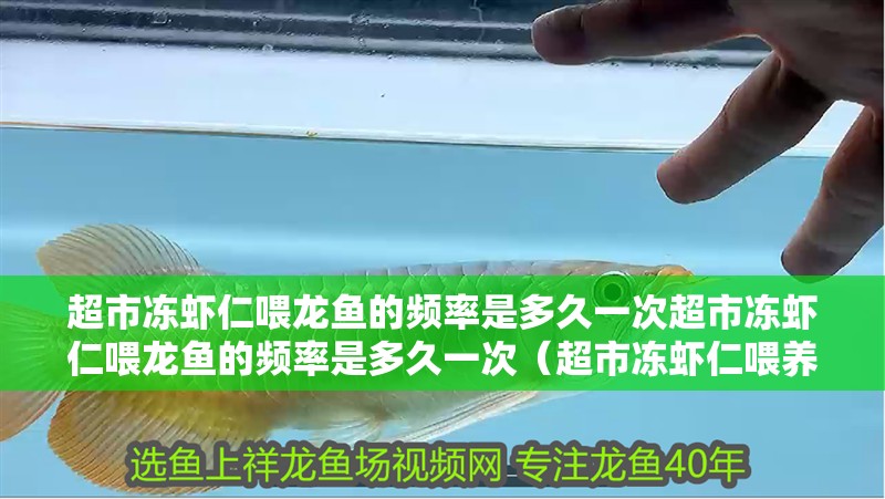 超市凍蝦仁喂龍魚的頻率是多久一次超市凍蝦仁喂龍魚的頻率是多久一次（超市凍蝦仁喂養龍魚的頻率是多久一次？） 超市凍蝦仁喂龍魚的頻率是多久一次超市凍蝦仁喂龍魚的頻率是多久一次（超市凍蝦仁喂養龍魚的頻率是多久一次？） 龍魚百科
