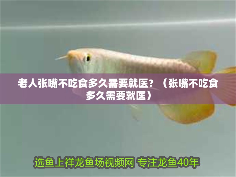 魚缸用增氧泵價格是多少:魚缸增氧機-xtrac增氧機-xtrac增氧機 老人張嘴不吃食多久需要就醫?(張嘴不吃食多久需要就醫) 龍魚百科 老人張嘴不吃食多久需要就醫?(張嘴不吃食多久需要就醫) 老人張嘴不吃食多久需要就醫?(張嘴不吃食多久需要就醫) 龍魚百科