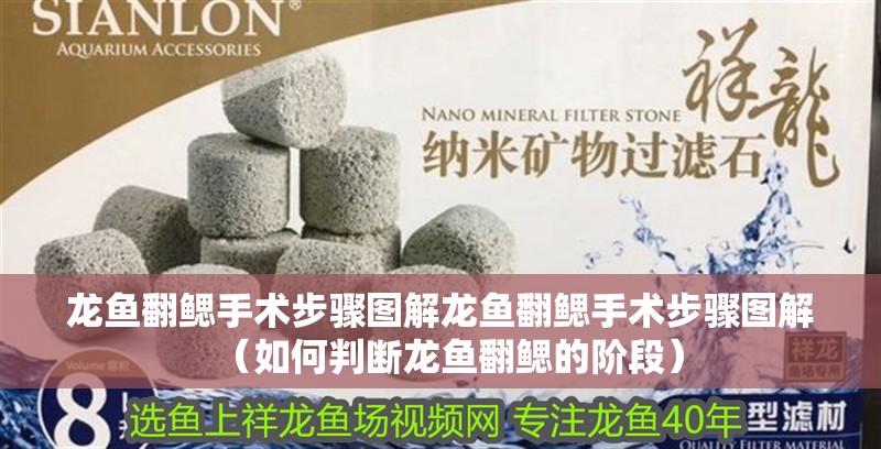 龍魚翻鰓手術步驟圖解龍魚翻鰓手術步驟圖解（如何判斷龍魚翻鰓的階段）
