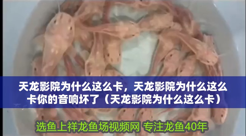 天龍影院為什么這么卡，天龍影院為什么這么卡你的音響壞了（天龍影院為什么這么卡）